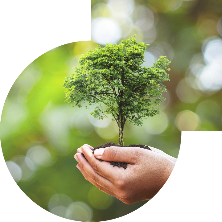 關懷人類、文化、環境與社會